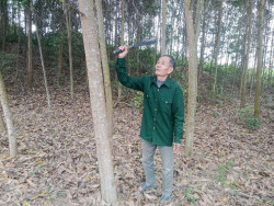 Cựu chiến binh, Trưởng thôn học tập và làm theo Bác  từ những việc làm thực tế, cụ thể hằng ngày