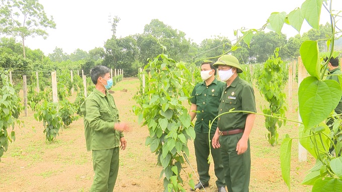 CCB ở các xã vùng giáo ở Diễn Châu trao đổi kinh nghiệm trồng cây ăn quả cho thu nhập cao