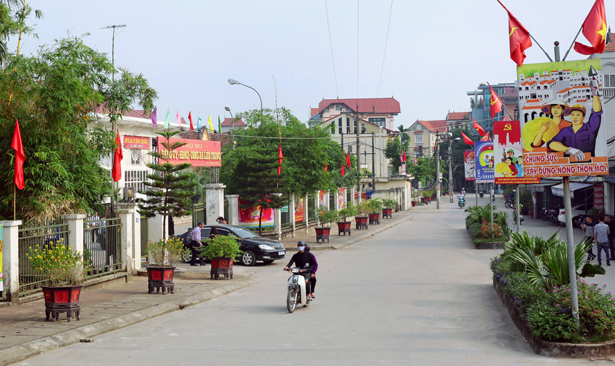 Hội CCB xã Diễn Tân xây dựng 4 đoạn đường giao thông nông thôn, treo cờ Tổ quốc và trồng hoa hai bên vệ đường