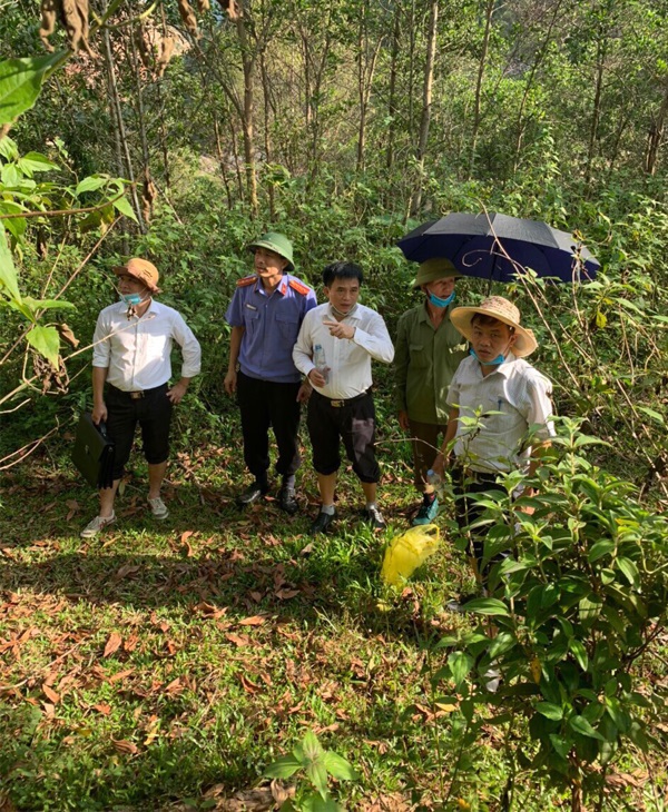 hoa giai tranh chap dat rung cua toa an huyen to hoa giai o xa chau hong quy hop