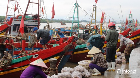 Sau khi đưa Luật biển Việt Nam vào cuộc sống bà con ngư dân vùng biển Diễn Châu nô nức ra khai đánh bắt hải sản.