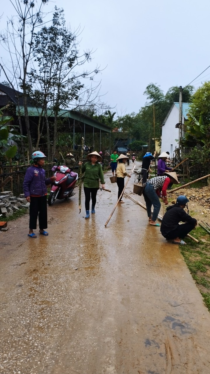 anh tet trong cay