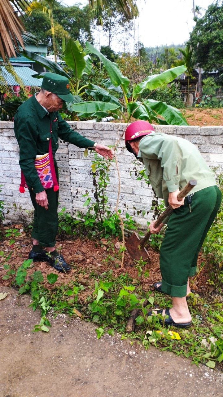 anh tet trong cay 1