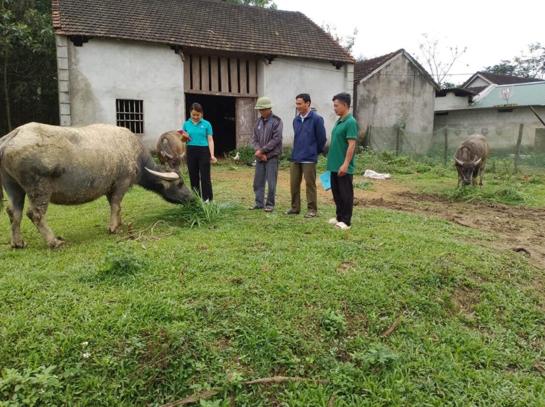 Hội Cựu chiến binh kiểm tra hộ vay vốn tại bản Chà Coong