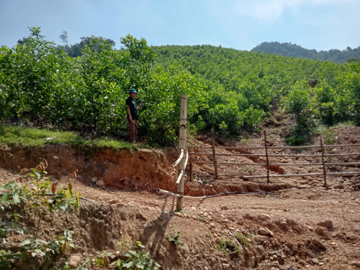 CCB Lộc Văn Trung, chăm sóc 5ha vườn keo của gia đình