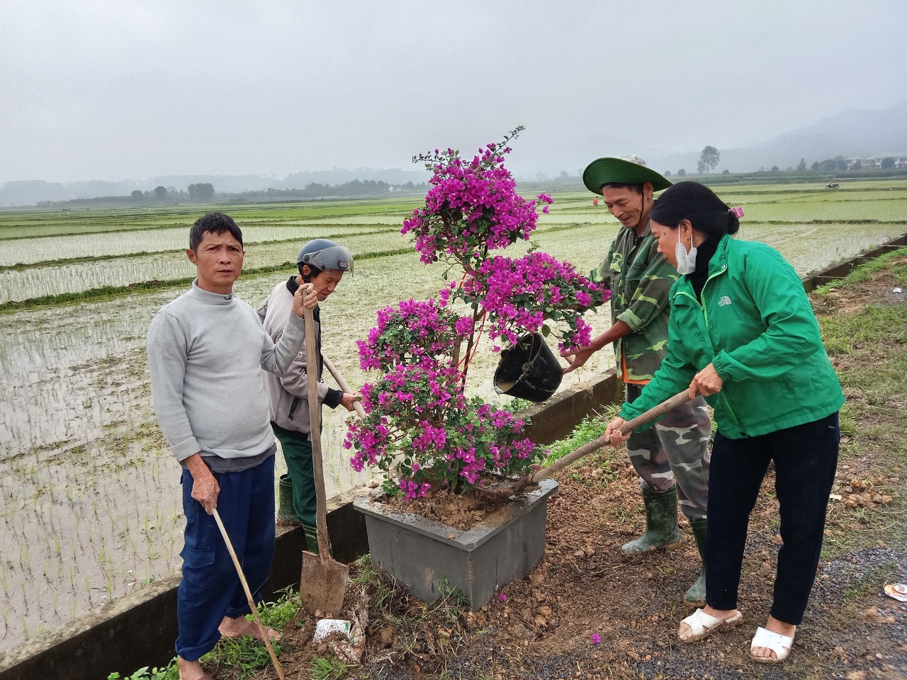 Hội viên CCB và Phụ nữ xã tham gia trồng cây